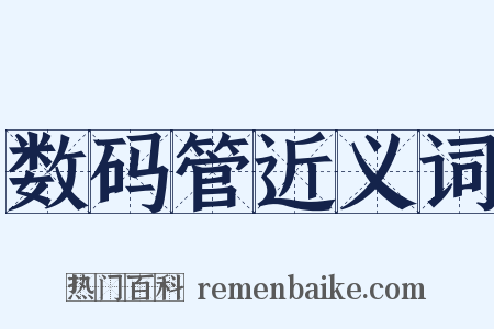数码管近义词是什么意思的图片